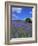 Bluebells, Dartmoor, Devon, England, United Kingdom-David Lomax-Framed Photographic Print