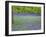 Bluebells Flowering in Beech Wood Perthshire, Scotland, UK-Pete Cairns-Framed Photographic Print