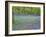 Bluebells Flowering in Beech Wood Perthshire, Scotland, UK-Pete Cairns-Framed Photographic Print