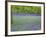 Bluebells Flowering in Beech Wood Perthshire, Scotland, UK-Pete Cairns-Framed Photographic Print