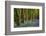 Bluebells, High Littleton Woods, Somerset, England, United Kingdom, Europe-Bill Ward-Framed Photographic Print