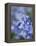 Bluebells (Hyacinthoides Hispanica)-Adrian Bicker-Framed Premier Image Canvas