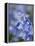 Bluebells (Hyacinthoides Hispanica)-Adrian Bicker-Framed Premier Image Canvas