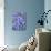 Bluebells (Hyacinthoides Hispanica)-Adrian Bicker-Photographic Print displayed on a wall