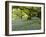 Bluebells in Carstramon Wood, Fleet Valley, Dumfries and Galloway, Scotland-Gary Cook-Framed Photographic Print