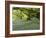 Bluebells in Carstramon Wood, Fleet Valley, Dumfries and Galloway, Scotland-Gary Cook-Framed Photographic Print