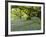 Bluebells in Carstramon Wood, Fleet Valley, Dumfries and Galloway, Scotland-Gary Cook-Framed Photographic Print