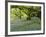 Bluebells in Carstramon Wood, Fleet Valley, Dumfries and Galloway, Scotland-Gary Cook-Framed Photographic Print