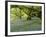 Bluebells in Carstramon Wood, Fleet Valley, Dumfries and Galloway, Scotland-Gary Cook-Framed Photographic Print