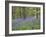 Bluebells in Middleton Woods Near Ilkley, West Yorkshire, Yorkshire, England, UK, Europe-Mark Sunderland-Framed Photographic Print