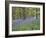 Bluebells in Middleton Woods Near Ilkley, West Yorkshire, Yorkshire, England, UK, Europe-Mark Sunderland-Framed Photographic Print