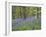 Bluebells in Middleton Woods Near Ilkley, West Yorkshire, Yorkshire, England, UK, Europe-Mark Sunderland-Framed Photographic Print