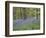 Bluebells in Middleton Woods Near Ilkley, West Yorkshire, Yorkshire, England, UK, Europe-Mark Sunderland-Framed Photographic Print