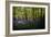 Bluebells in Woods-Rory Garforth-Framed Photographic Print