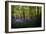 Bluebells in Woods-Rory Garforth-Framed Photographic Print