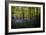 Bluebells in Woods-Rory Garforth-Framed Photographic Print