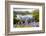 Bluebells on Loughrigg terrace, Lake District, UK.-Ashley Cooper-Framed Photographic Print