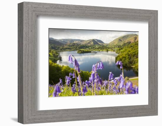 Bluebells on Loughrigg terrace, Lake District, UK.-Ashley Cooper-Framed Photographic Print