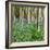 Bluebells, Riffa Wood, Near Harrogate, Yorkshire, England, United Kingdom, Europe-Bill Ward-Framed Photographic Print