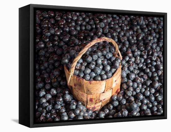 Blueberries at Market for Sale, Helsinki, Finland-null-Framed Premier Image Canvas