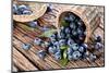 Blueberries Have Dropped from the Basket on an Old Wooden Table.-Volff-Mounted Photographic Print