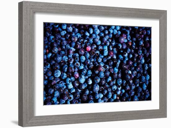 Blueberries II-Peter Morneau-Framed Art Print