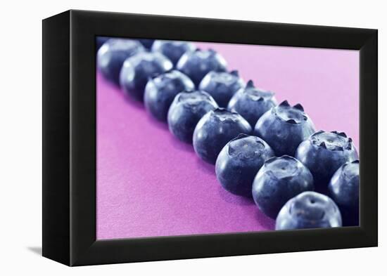 Blueberries in Rows (Close-Up)-Kröger and Gross-Framed Premier Image Canvas