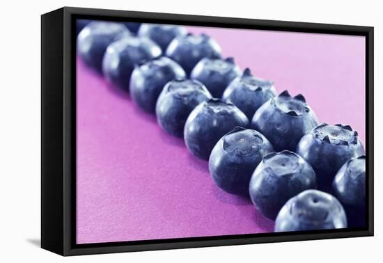 Blueberries in Rows (Close-Up)-Kröger and Gross-Framed Premier Image Canvas
