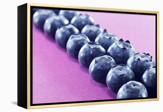 Blueberries in Rows (Close-Up)-Kröger and Gross-Framed Premier Image Canvas