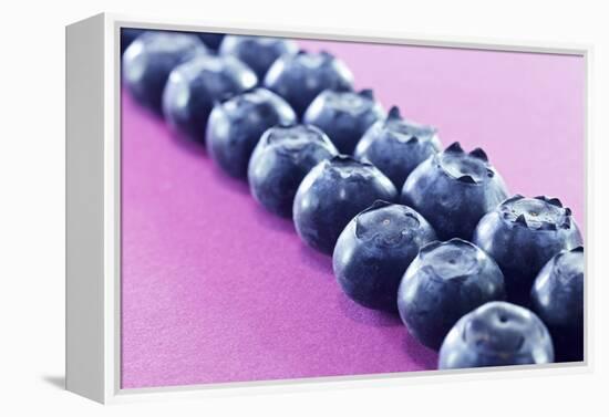 Blueberries in Rows (Close-Up)-Kröger and Gross-Framed Premier Image Canvas