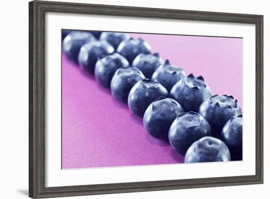 Blueberries in Rows (Close-Up)-Kröger and Gross-Framed Photographic Print