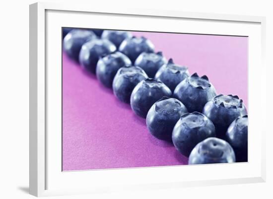 Blueberries in Rows (Close-Up)-Kröger and Gross-Framed Photographic Print
