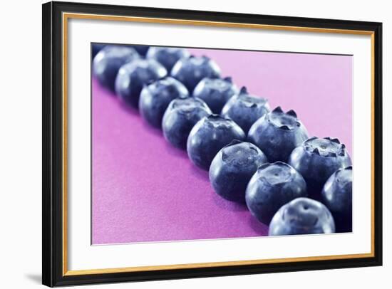 Blueberries in Rows (Close-Up)-Kröger and Gross-Framed Photographic Print