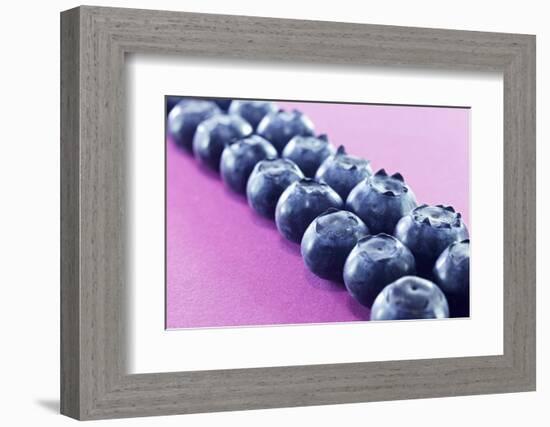 Blueberries in Rows (Close-Up)-Kröger and Gross-Framed Photographic Print