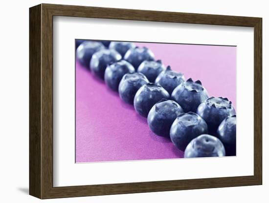 Blueberries in Rows (Close-Up)-Kröger and Gross-Framed Photographic Print