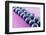 Blueberries in Rows (Close-Up)-Kröger and Gross-Framed Photographic Print