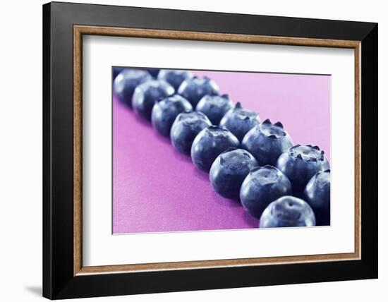 Blueberries in Rows (Close-Up)-Kröger and Gross-Framed Photographic Print