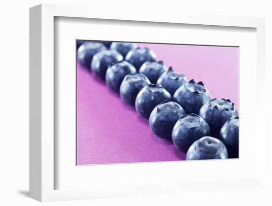 Blueberries in Rows (Close-Up)-Kröger and Gross-Framed Photographic Print