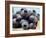 Blueberries with Drops of Water in Woodchip Basket-null-Framed Photographic Print