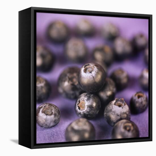 Blueberries-Cristina-Framed Premier Image Canvas