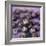 Blueberries-Cristina-Framed Premium Photographic Print