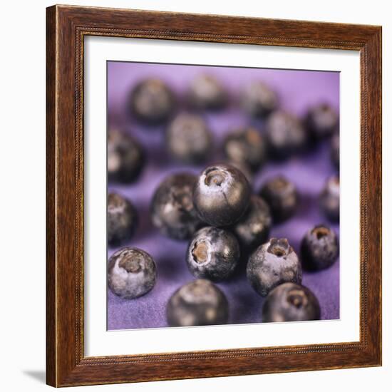 Blueberries-Cristina-Framed Premium Photographic Print