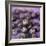 Blueberries-Cristina-Framed Premium Photographic Print