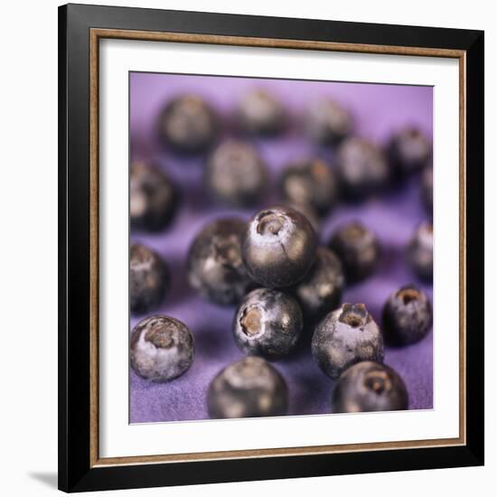 Blueberries-Cristina-Framed Premium Photographic Print