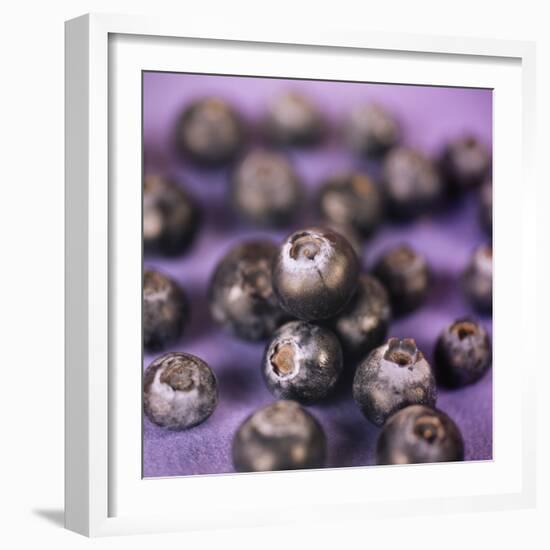 Blueberries-Cristina-Framed Premium Photographic Print