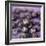 Blueberries-Cristina-Framed Premium Photographic Print