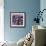 Blueberries-Cristina-Framed Premium Photographic Print displayed on a wall