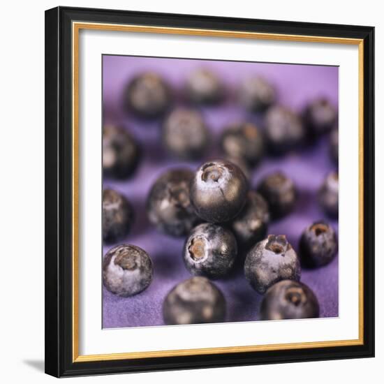 Blueberries-Cristina-Framed Premium Photographic Print