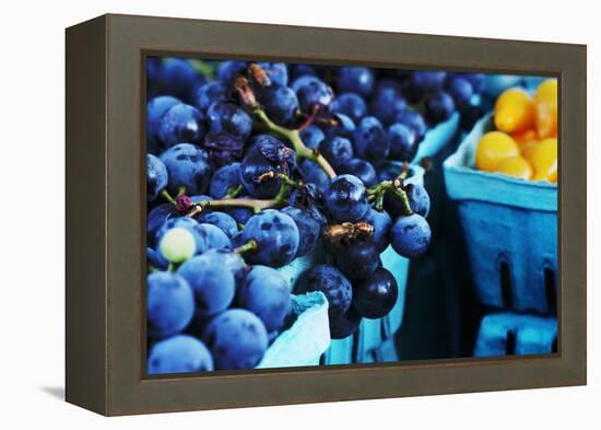 Blueberries-null-Framed Stretched Canvas