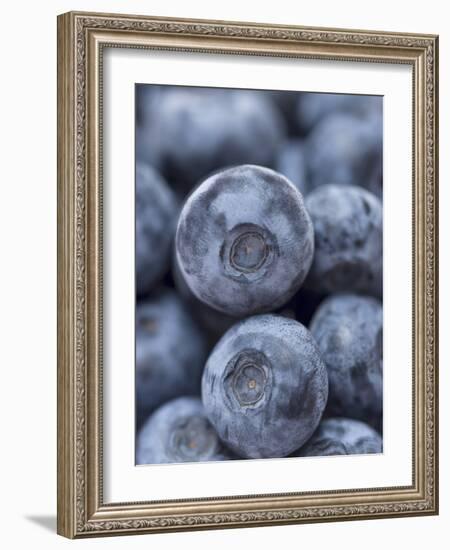 Blueberries-null-Framed Photographic Print